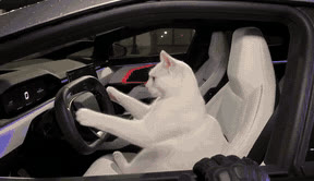 Animated scene preview: a cat’s car leaves a police stop and launches into the night sky.